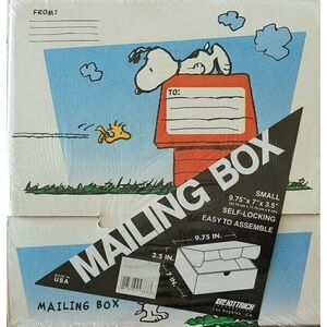 PEANUTS Snoopy Woodstock Small Mailing Box Shipping Supplies